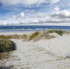 Sticker - Beach scene