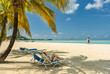 Palm tree and beach chairs in serene tropical beach scene