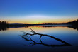 Baumstamm in Blaue Stunde an der Donau zum Sonnenuntergang
