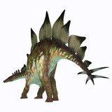Fototapeta Dinusie - Stegosaurus Dinosaur Tail - Stegosaurus was an armored herbivorous dinosaur that lived in North America during the Jurassic Period.