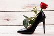Black shoe and red rose. Footwear with flower on wood. Joy of shopping.