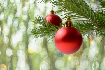 Christmas tree branch with red ornament  and bokeh