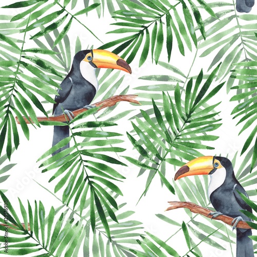 Tapeta ścienna na wymiar Tropikalna ilustracja z egzotycznymi ptakami