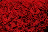 Fototapeta Kwiaty - Red roses wedding bouquet