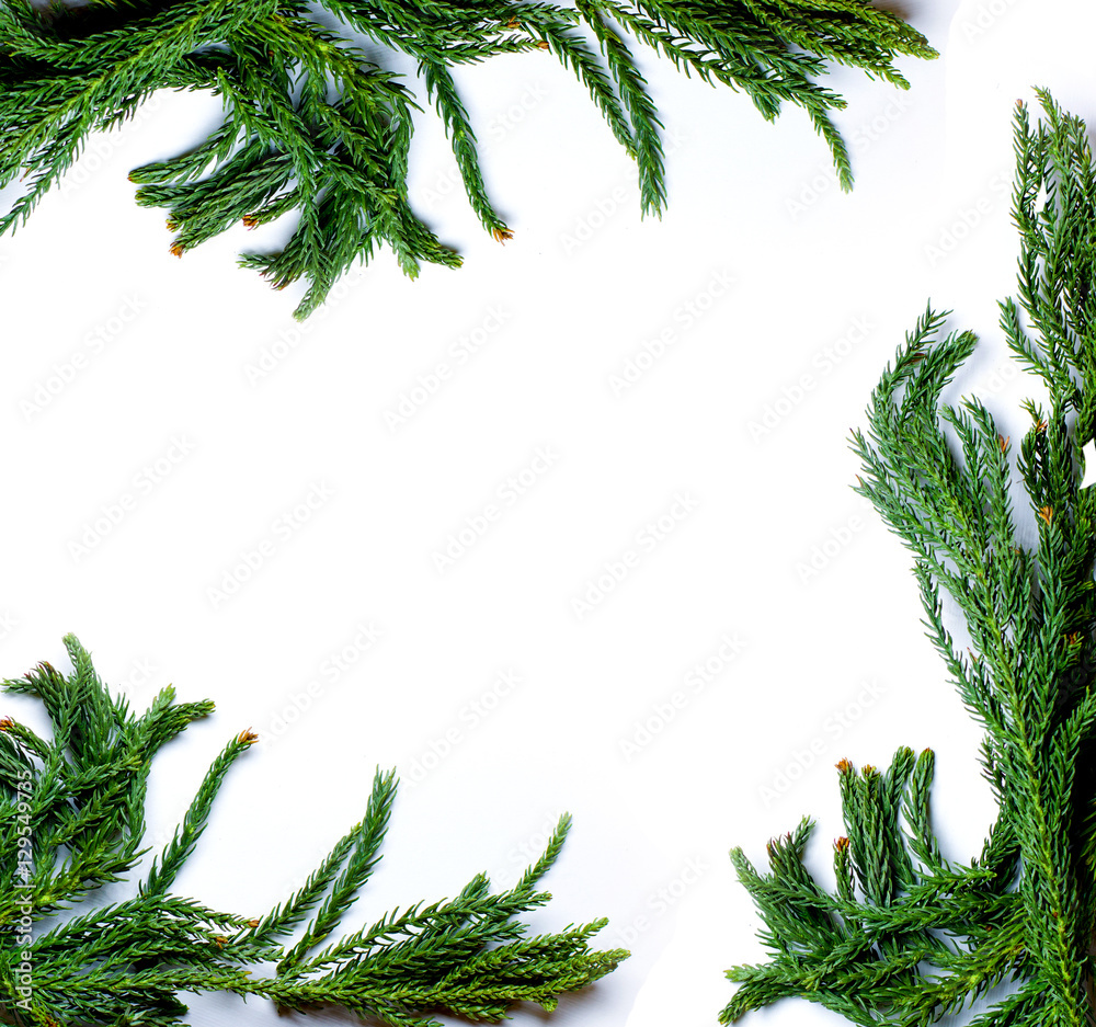 Christmas border frame made of fir tree branch isolated on white ...