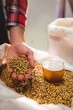 © WavebreakMediaMicro - Manufacturer holding barley by beer glass in sack