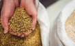 © WavebreakMediaMicro - Cropped image of hand holding barley