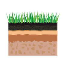 Soil Layers With Grass