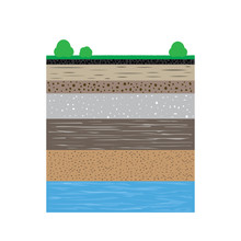 Soil Profiles With Grass And Bushes