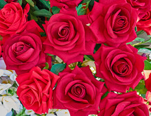 Vibrant Red Fake Rose Flowers Closeup