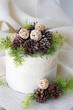 Layer Cake decorated with pine cones