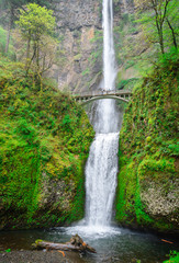 Wall Mural - Columbia Gorge National Scenic Area