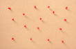 © Kevin Brine - Bulletin board with red tacks.