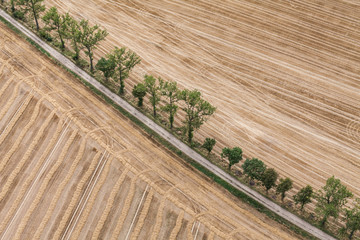 aerial view of harvest fields in Poland