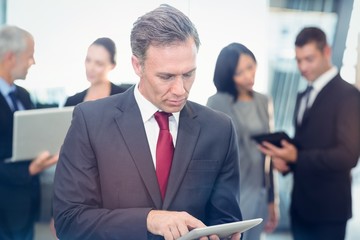 Poster - Mature businessman using digital tablet