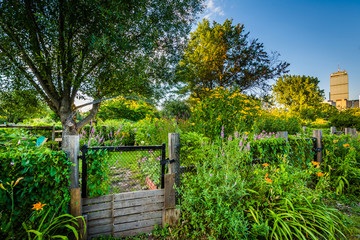 Canvas Print - Gardens at Back Bay Fens, in Boston, Massachusetts.