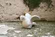 © jeepbabes - moderne, trauerkarte, shabby, chic, urban, urbano, filterlos, kulisse, konzepte