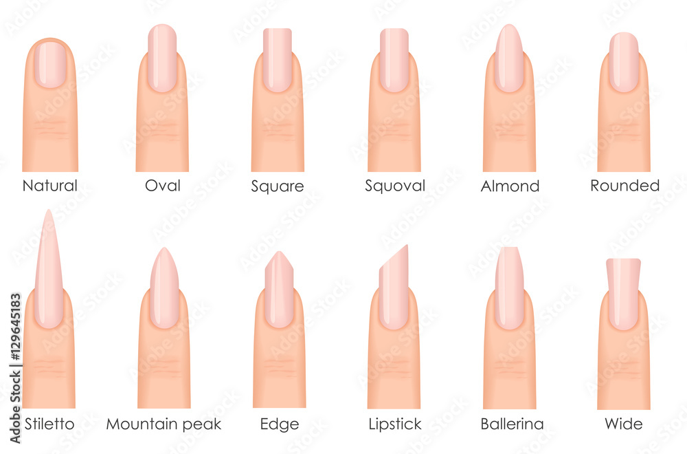 Image vectorielle Stock Different fashion nail shapes. Set kinds of nails. Fashion nails type trends. Beauty spa salon woman fingernails set. Adobe Stock