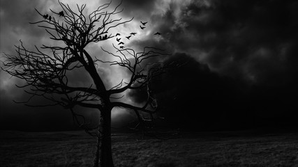 Wall Mural -  Halloween Spooky Tree Dark Night .