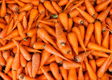 Carrot Background. Macro. Organic Food.