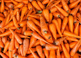 Poster - Carrot background. Macro. Organic food.