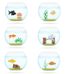 Wall Mural - fish in a transparent aquarium vector illustration