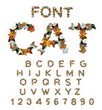 Fototapeta Dinusie - Cat font. catlike ABC. letters of cats. Pet alphabet. Pets typog