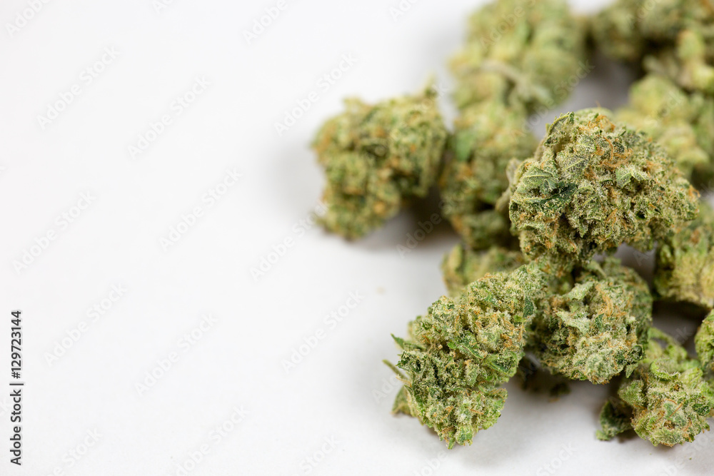 close up of marijuana bud on white background - obrazy, fototapety, plakaty 
