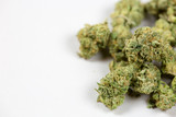 Fototapeta  - close up of marijuana bud on white background