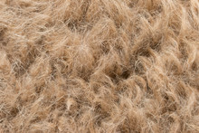 Camel Wool As Background