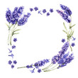 Wildflower lavender flower frame in a watercolor style isolated.