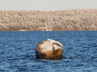 Canvas Print - the frozen stone in the lake