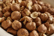 © Brian Yarvin - Filberts, sometimes called Hazelnuts. Removed from their shells and still raw.