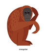 Brown funny orangutan - very large ape