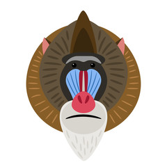 Wall Mural - colored head of very interesting monkey mandrill