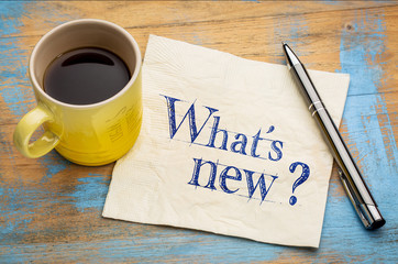 Wall Mural - what is new question