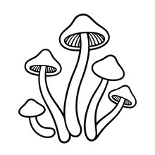 Mushrooms Line Illustration.
