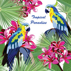 Wall Mural - Exotic card with parrot birds and flowers. Vector Summer Tripocal Paradise background illustration