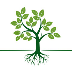 Wall Mural - Green Vector Tree and Roots. Vector Illustration.