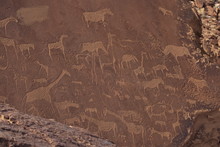 Etchings On Sandstone, 6000 Years Old, Finest Rock Art In Africa, Twyfelfontein, Damaraland, Namibia