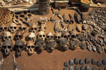 Primate Skulls For Sale In The Market At Vogan, Togo, West Africa