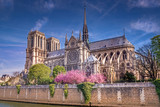 Notre-dame