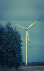 Windmills for electric power production on the field.