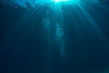 Wall Mural - air bubbles underwater in deep blue ocean with sunrays and water surface