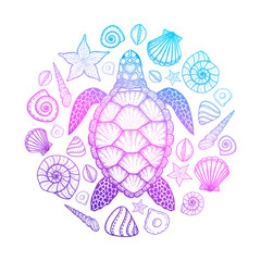 Wall Mural - Sea turtle and shells in line art style. Hand drawn vector illustration. Top view. Design for coloring book. Set of ocean elements