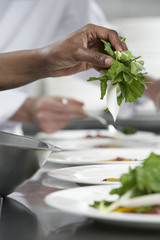 Wall Mural - Closeup of a chef preparing salad in the kitchen