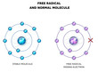 Free radical with missing electron, unpaired electron and stable, normal molecule. 