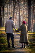 old couple waling and holding hands in park