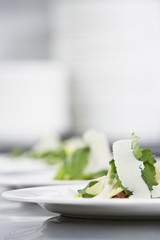 Wall Mural - Closeup of salad with grated cheese on plates in a row