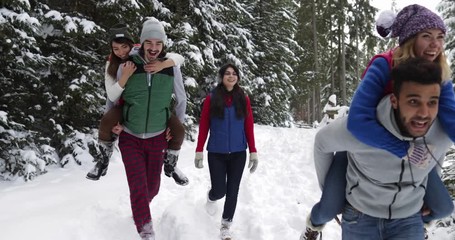 Wall Mural - Group Of People Winter Snow Forest Walk Happy Friends Having Fun In Snowy Park Slow Motion 60